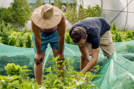 Thumbnail for 6864645