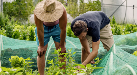 Thumbnail for 6864645