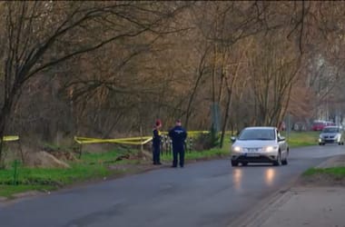 Thumbnail for 6864866