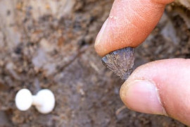 Thumbnail for 6865118