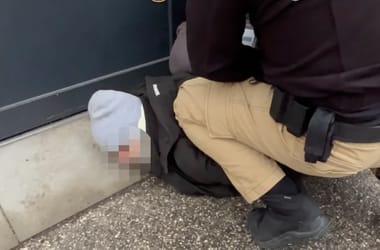 Thumbnail for 6865606