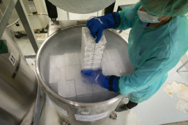 Thumbnail for 6865992