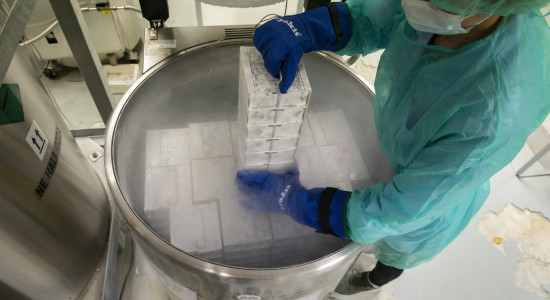 Thumbnail for 6865992