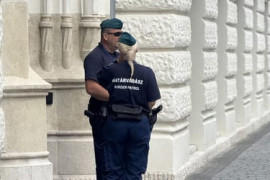 Thumbnail for 6866375