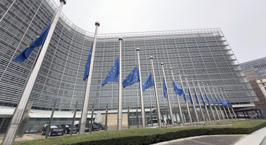 Thumbnail for 6866480