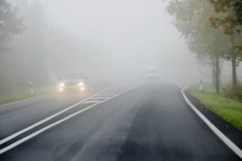 Thumbnail for 6868005