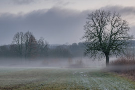 Thumbnail for 6868417