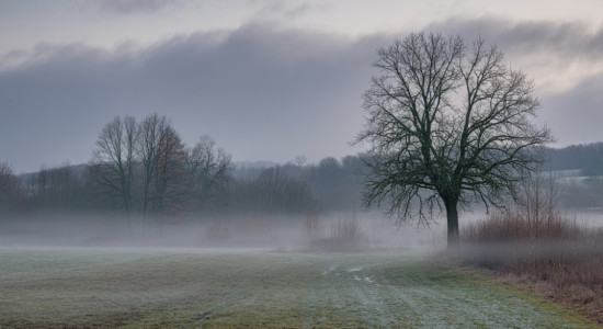 Thumbnail for 6868417