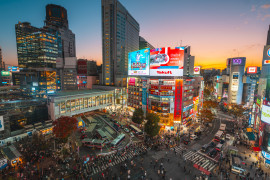 Thumbnail for 6869074