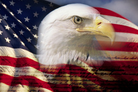 Thumbnail for 6869795