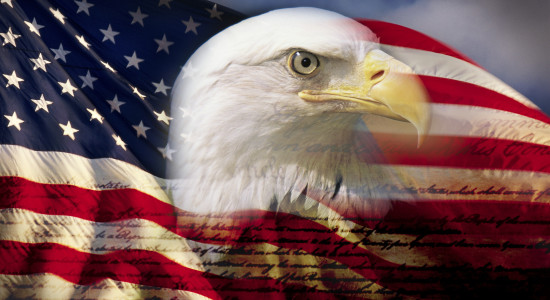 Thumbnail for 6869795