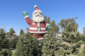 Thumbnail for 6872203