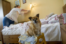 Thumbnail for 6872702