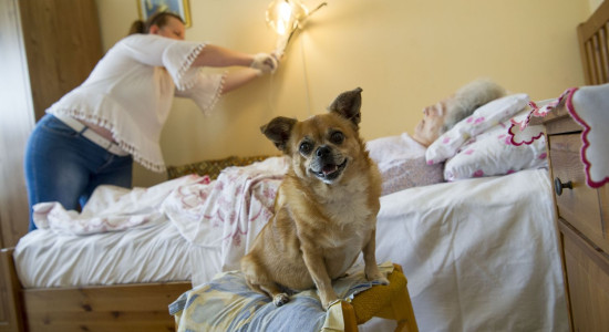 Thumbnail for 6872702