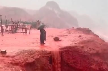 Thumbnail for 6872916