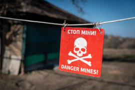 Thumbnail for 6873371