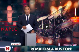 Thumbnail for 6873933