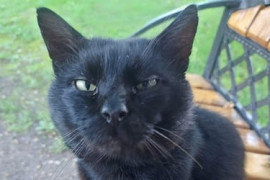 Thumbnail for 6874242