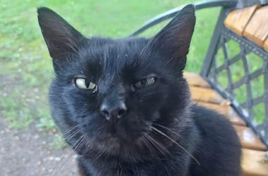 Thumbnail for 6874242