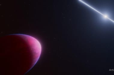 Thumbnail for 6874321