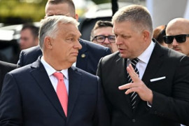 Thumbnail for 6874480