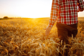 Thumbnail for 6874640