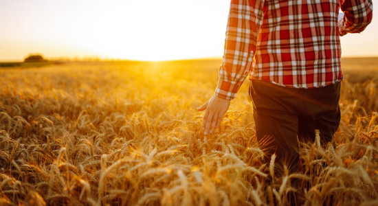 Thumbnail for 6874640