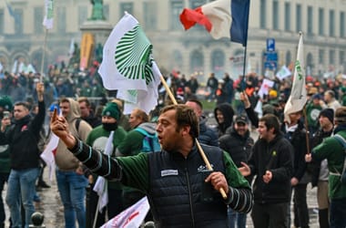 Thumbnail for 6874853