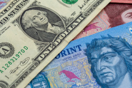 Thumbnail for 6875211