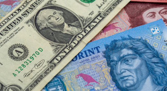 Thumbnail for 6875211