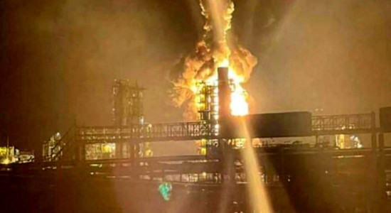 Thumbnail for 6875292