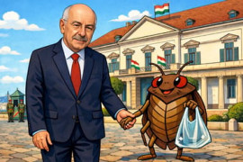 Thumbnail for 6875539