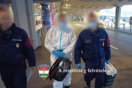 Thumbnail for 6875717