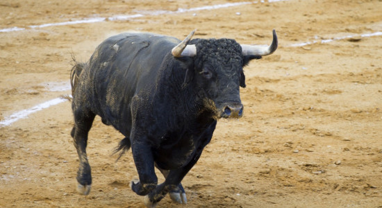 Thumbnail for 6876088