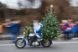 Thumbnail for 6876502