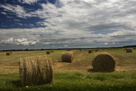 Thumbnail for 6876523