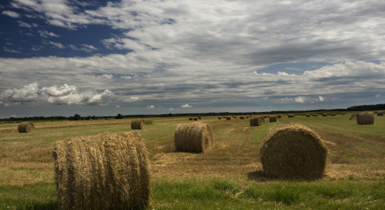 Thumbnail for 6876523