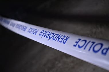 Thumbnail for 6876729