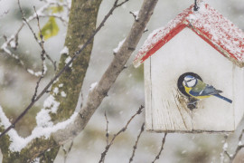 Thumbnail for 6876750