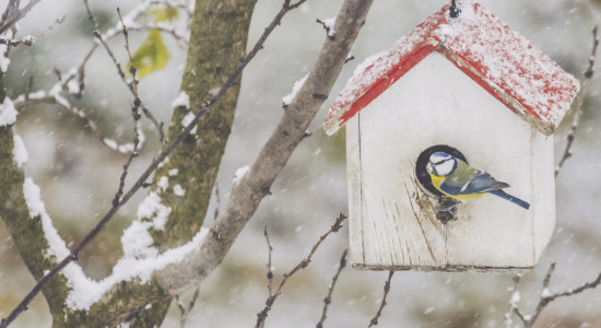 Thumbnail for 6876750