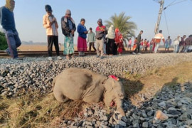 Thumbnail for 6878020