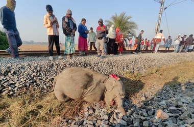 Thumbnail for 6878020