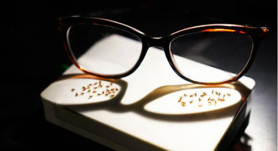 Thumbnail for 6878077