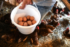 Thumbnail for 6878258