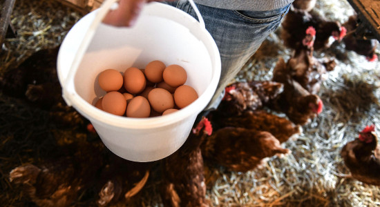 Thumbnail for 6878258