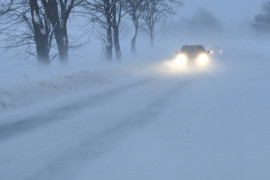 Thumbnail for 6878369