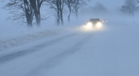 Thumbnail for 6878369