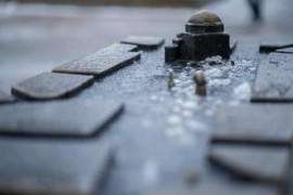 Thumbnail for 6878531