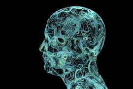 Thumbnail for 6879059