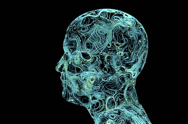 Thumbnail for 6879059